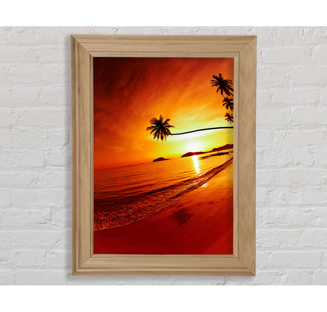 Ocean Sunset Palm - Einzelne Bilderrahmen Kunstdrucke