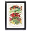 Great Barrier Reef Fishes by W. Saville-Kent - Picture Frame Painting Print-55575484-55575489