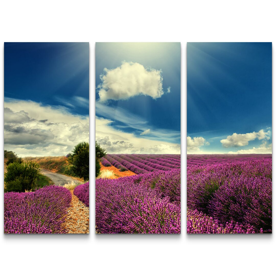 3-tlg. Leinwandbilder-Set Lavendel Felder bei blauem Himmel