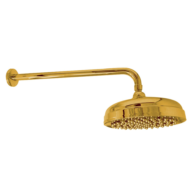 8" Shower Head with 16" Straight Arm & Escutcheon, Unlacquered Polished Brass