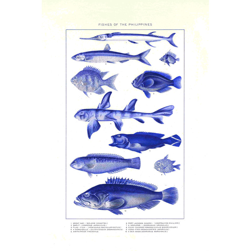 Imprimé de poisson rétro bleu, H 18 po x l 12 po