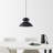Hannes 1-Light Dimmable Dome Pendant-41718962