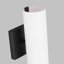 Capalino 2-Light Medium Sconce-88160101