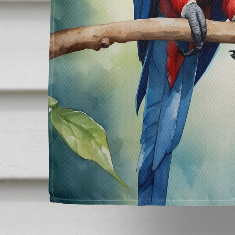 House Flag, Macaw Parrot