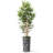 Artificial Tree in Geometric Pattern Planter Fake Bamboo Silk Tree (Plant Pot Plus Tree)-103593082
