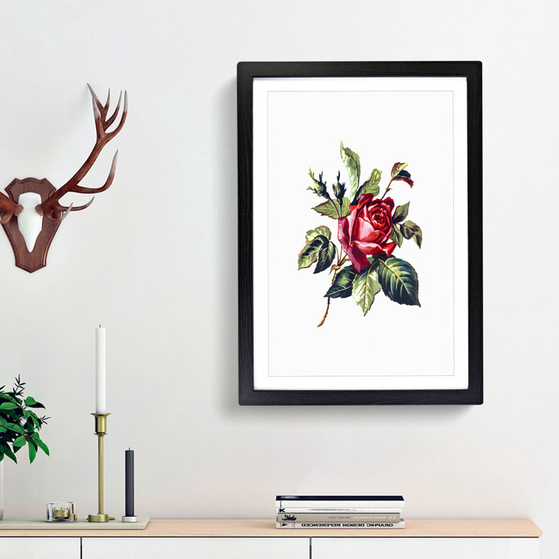 Red Rose Illustration - Picture Frame Painting Print, Black Framed, 36cm H x 27cm W x 2cm D