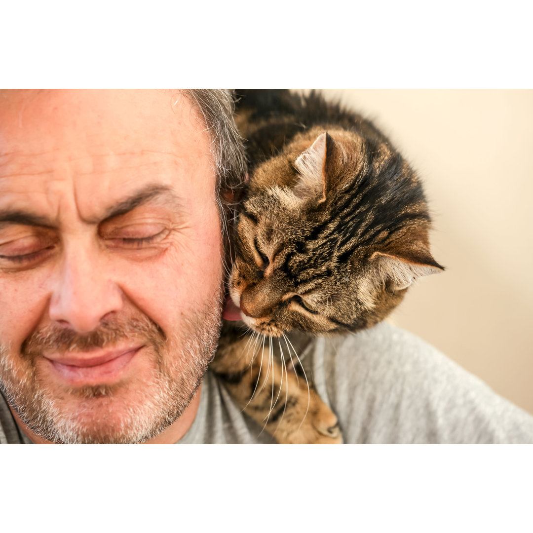 Mann und Katze Liebe von 1001slide - Kunstdrucke auf Leinwand ohne Rahmen