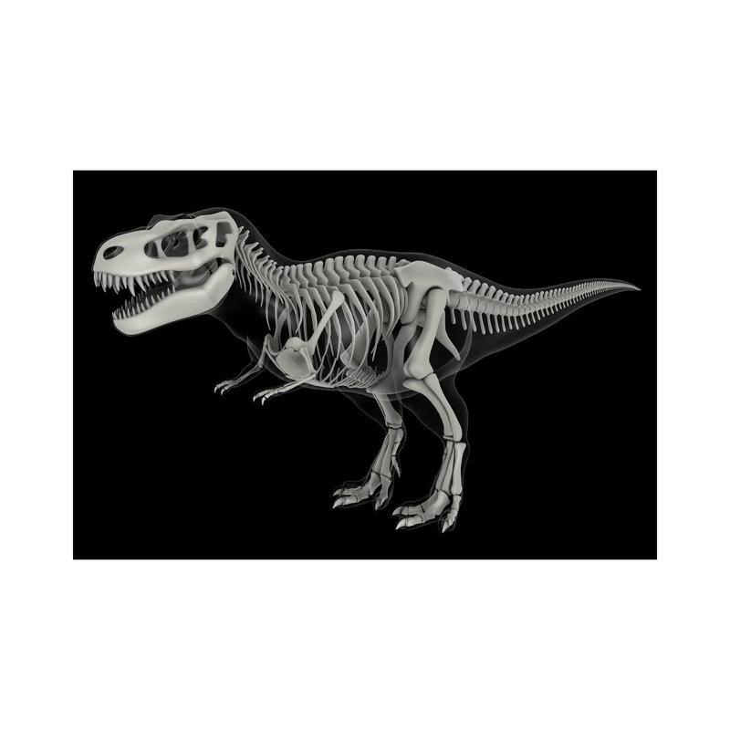 Skeletal System Of Tyrannosaurus Rex, Side View by Stocktrek Images - Wrapped Canvas Print, 20.32 cm H x 30.48 cm W