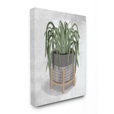 «Amical Spider Plant Grey Green» par House Fenway - impression d'art graphique