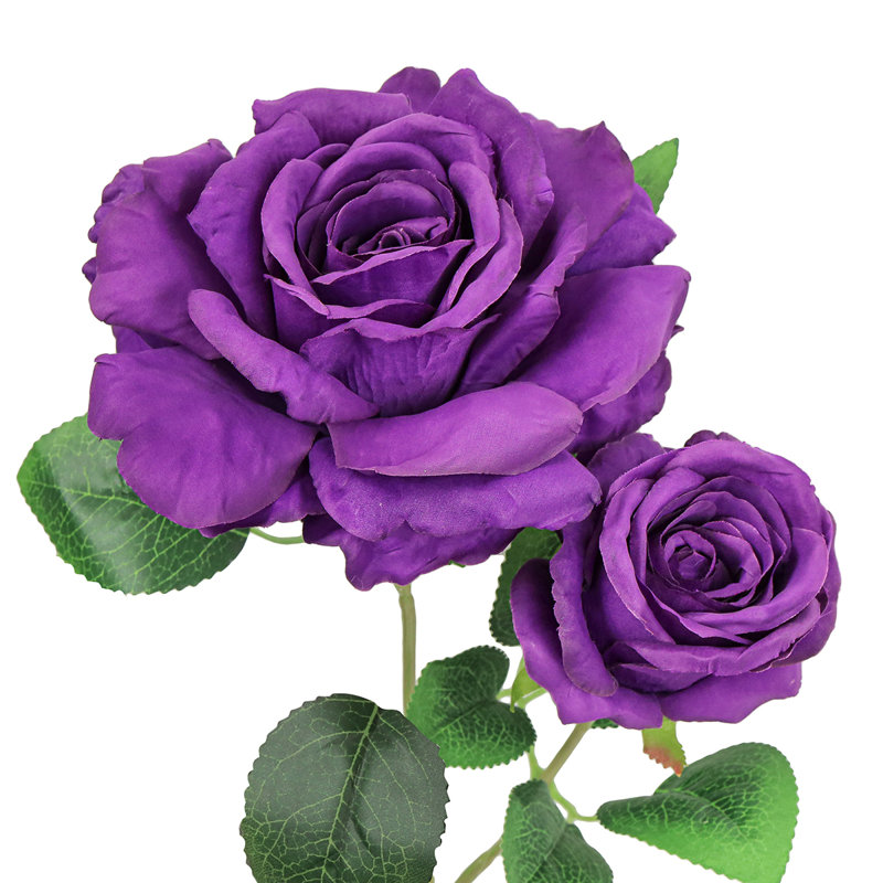 Rosier artificiel, Mauve