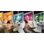 Designers Dining Side Chair