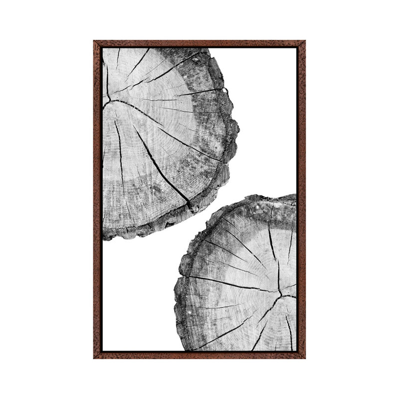 Wood Slice by Sisi & Seb - Floater Frame Gallery-Wrapped Canvas Giclée on Canvas, Brown, 101.6 cm H x 66.04 cm W