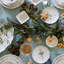 Fine Stoneware Dinner Plate