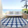  Colturo Area Rug
