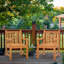 Chippendale Outdoor Teak Dining Armchair