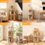 39cm W Standard Bookcase-943093936