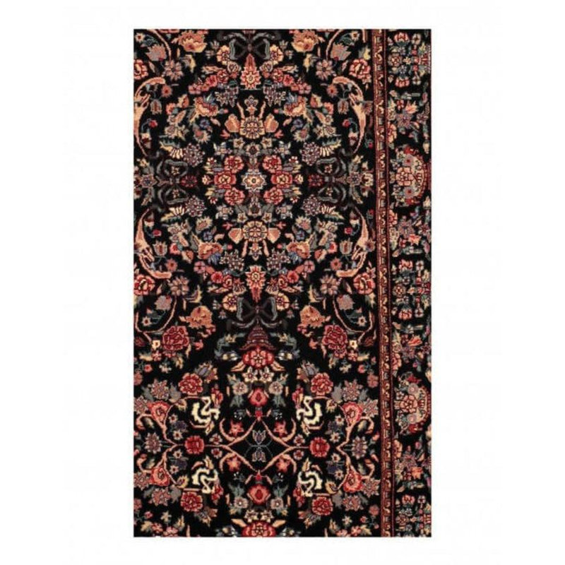 Oriental Indoor Rug