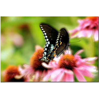 Lois Bryan Tasty by Lois Bryan Photographic Print on Wrapped Canvas