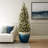 Dianelly Handmade Ceramic Pot Planter-563901276