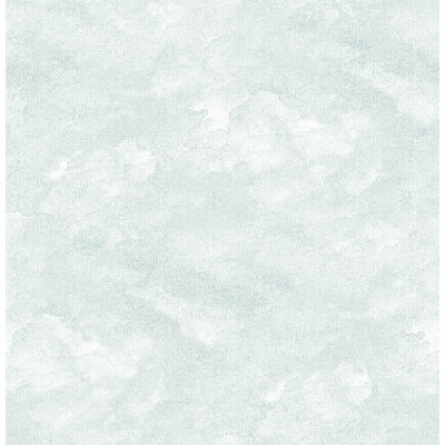 10.058m x 52.07cm Semi-Gloss Wallpaper Roll