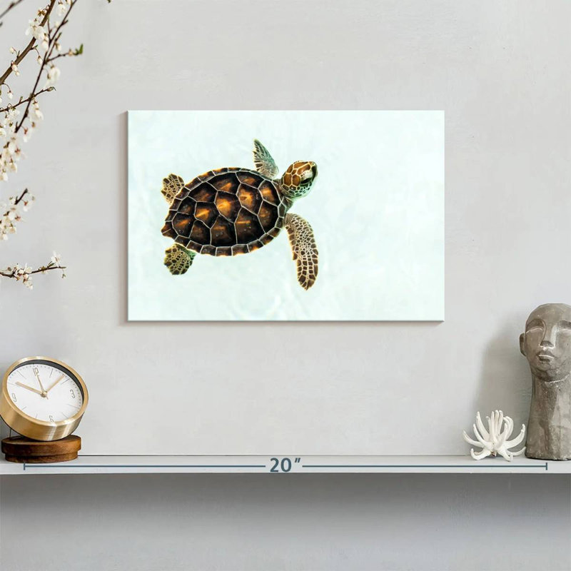 Bébé tortue Brampt, H 8 po x l 12 po