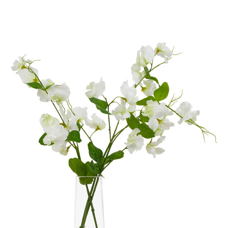 Anastasija Arrangement, White