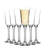 Argon Tableware - Tromba Champagne Flutes - 190ml-55599089