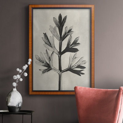 " Blossfeldt Botanical I " Painting Print