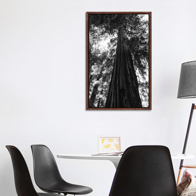 Redwood Forest XVI 1 Piece Wall Art on Canvas