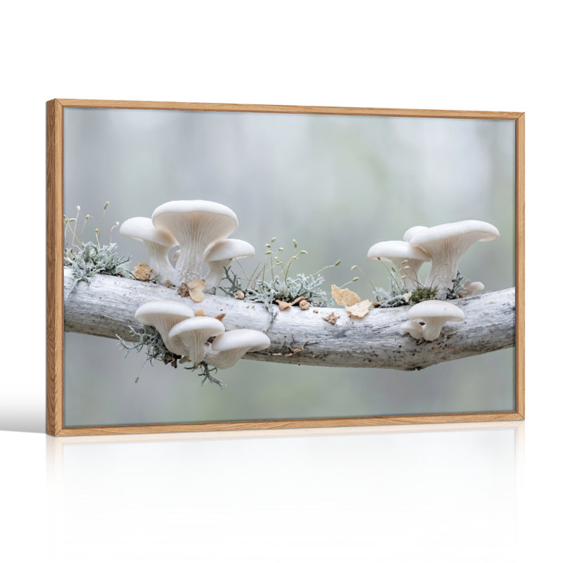 Ensemble de 1 tableau sur toile Forêt de champignons, H 24 po x l 36 po, Natural