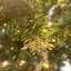 Arbre de Noël vert 7,4 pi envers