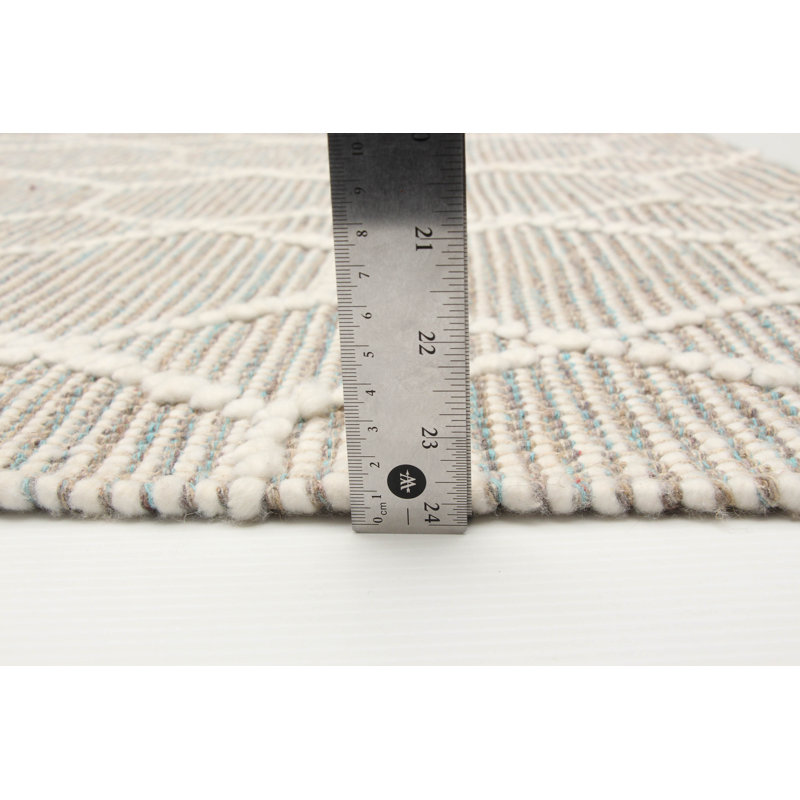 Delanny Performance Hand Braided Wool Indoor Rug