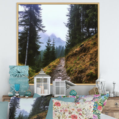 " Mountain Hiking In Summer I "