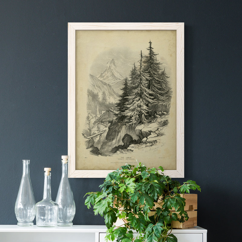 The Larch - Reproduction de photo sur toile, Cadre blanc, H 24 po x l 20 po
