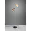 Kenisha 161cm Matte Traditional Floor Lamp-1651442833