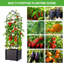 Space-Saving Raised Garden Beds with Trellis – 2-Pack 150cm Self-Watering Planter Box, Tomato Cage, Climbing Plant Support for Vegetables & Flowers, Single Grid, Pointed Top, Plastic-Coated Tubes