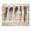 Plumes bohémiennes bohémiennes et éclectiques sur bois de pin naturel Boho-58679371
