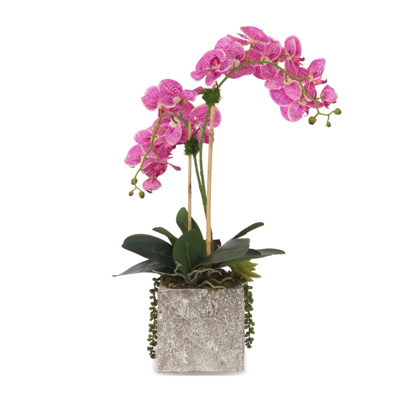 Arrangements floraux en pot Real Touch