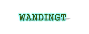 WANDINGT Logo