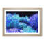 Neon Coral in Abstract - Picture Frame Graphic Art Print-55727885-55727886