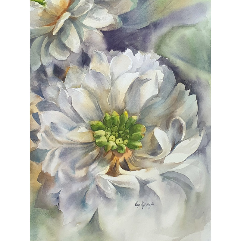 Saison de floraison - Chrysanthème blanc / Guldaudi | Aquarelle sur papier | Puja Kumar