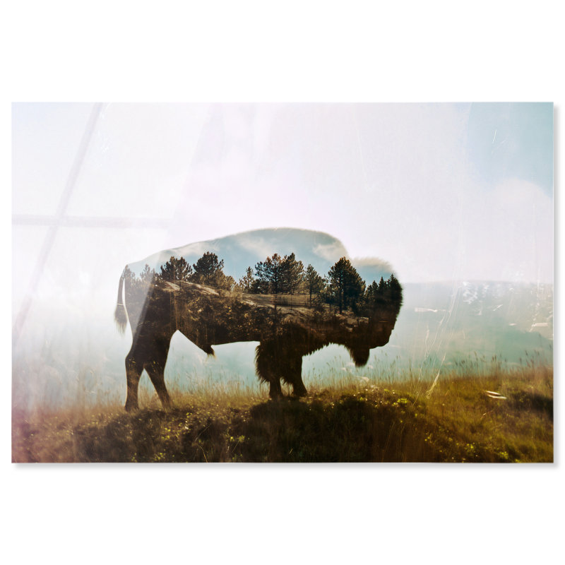 Bison Forest II High-Gloss Frameless Acrylic Glass Wall Art Animals Print by Oliver Gal, Ready to Hang, 15 x 10, 24"H x 16"W