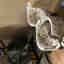 Customer photo 1 of 1