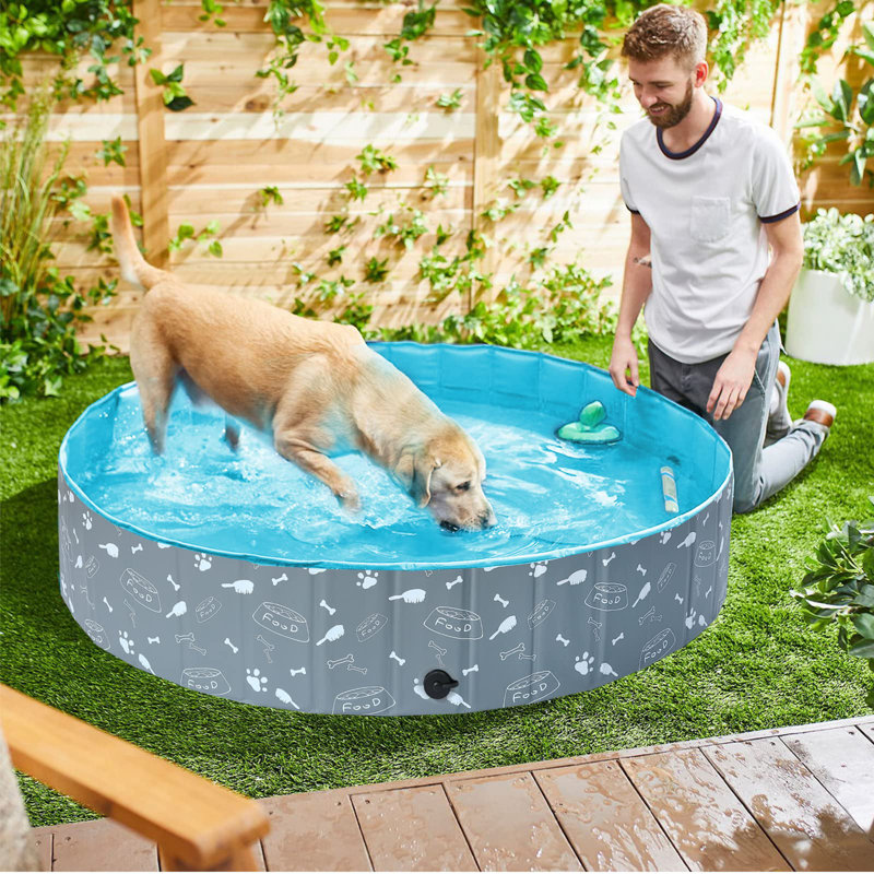 Plastic Round Pet Pool H x W x L, 160cm W x 30cm H