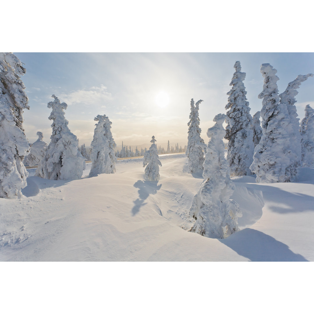 Extreme Winterlandschaft von Stanley - Leinwandbild