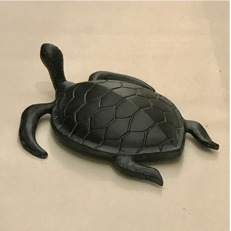 Curieuse tortue de mer - Patine