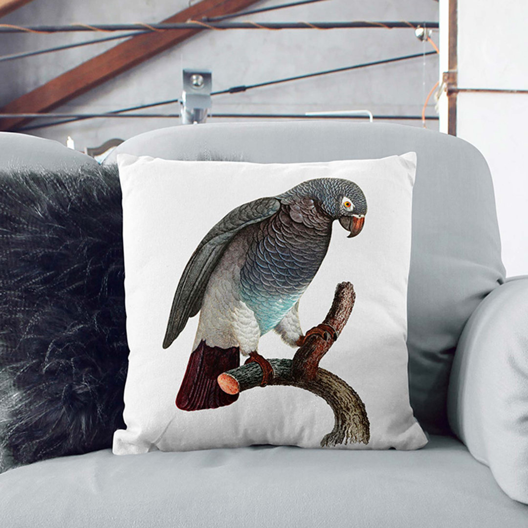 Parrot Perched by F. Levaillant Cushion with Filling