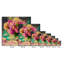 Impression sur toile Abdouallah-1644431103
