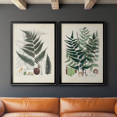 " Collected Ferns VI " 2 - Pieces