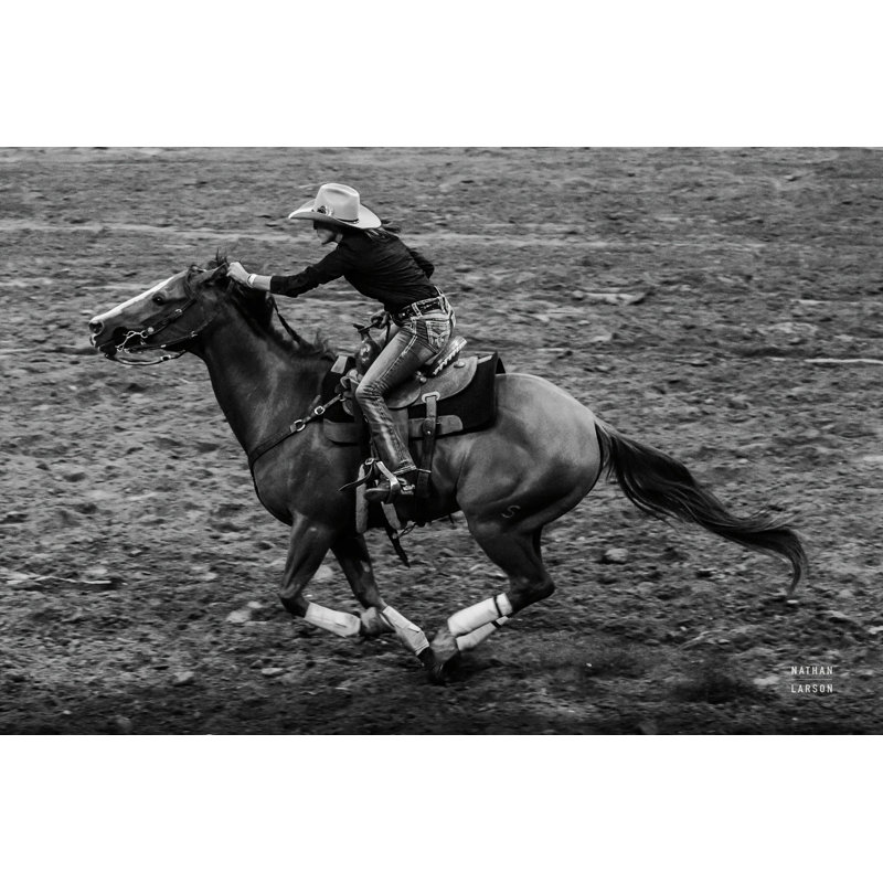 Rodeo II BW, H 12 po x l 18 po
